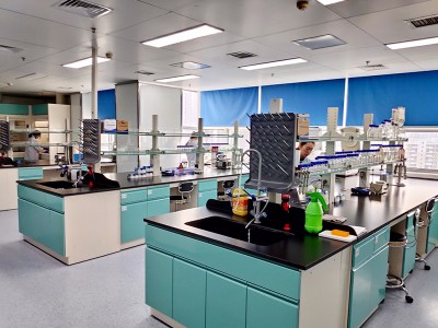 Come prevenire l'edema gastrointestinale della malattia del maiale?